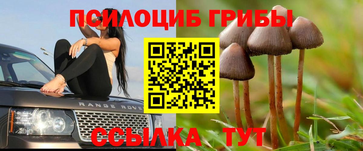 Псилоцибиновые грибы Magic Shrooms  Вход с VPN  наркошоп  Благодарный 