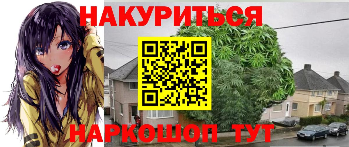 Благодарный  Марихуана ГИДРОПОН  Канабис Bruce Banner  Вход с VPN  Марихуана SATIVA & INDICA 